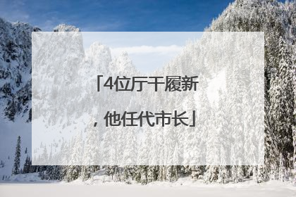 4位厅干履新，他任代市长