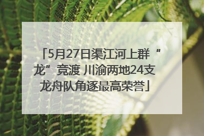 5月27日渠江河上群“龙”竞渡 川渝两地24支龙舟队角逐最高荣誉