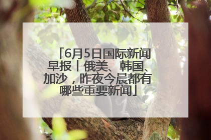 6月5日国际新闻早报丨俄美、韩国、加沙，昨夜今晨都有哪些重要新闻