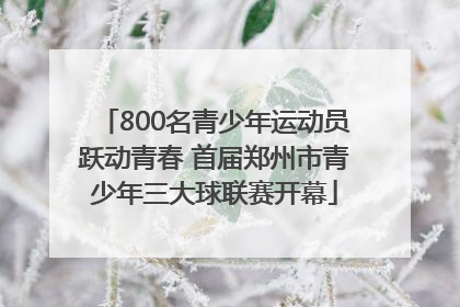 800名青少年运动员跃动青春 首届郑州市青少年三大球联赛开幕