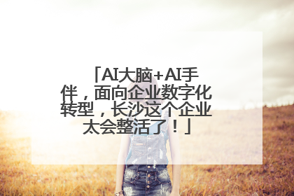 AI大脑+AI手伴，面向企业数字化转型，长沙这个企业太会整活了！