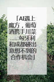 AI遇上魔方，葡萄酒携手川菜……匈牙利和成都碰出意想不到的合作机会